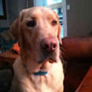 Meet your Posher, Jesse